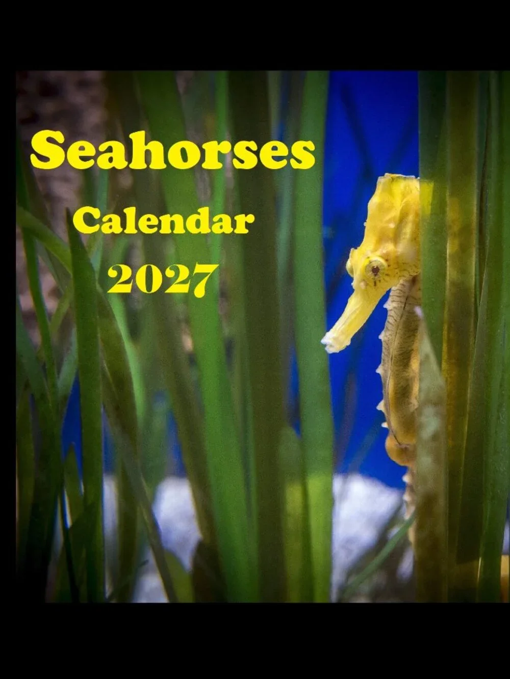 2027 Seahorse Calendar Ocean Marine Life Photography Coastal Decor Wall Calendar